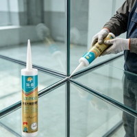Scellant silicone haute adhérence résistant aux intempéries en carton pour grandes plaques de verre, colle pour verre