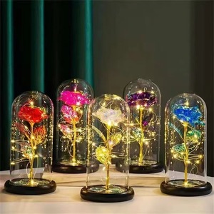 Cadeau pour la Saint-Valentin, la fête des mères, pour femme, épouse, Noël, rose éternelle en plastique, rose éternelle dans un dôme en verre avec lumières LED - Product Image 1