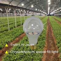 Ampoule LED de croissance de chrysanthème-Importation de Chine, adaptée aux conditions météorologiques extérieures côtières du Japon, améliore la photosynthèse