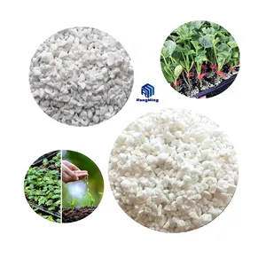 Vendita diretta in fabbrica disponibile perlite polvere bianca all'ingrosso agricoltura perlite