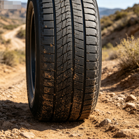 Neumáticos de Invierno para Automóviles de Pasajeros DOVROAD ZYPHIRAN, Venta al por Mayor de Fábrica, 225/55R19, Antideslizantes, Resistentes al Frío