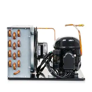 SECOP compressor hermético vertical refrigerado a ar de refrigeração da unidade de condensação