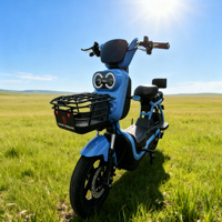 Trottinette Électrique Falcon IMP 2026 OEM à Cadre en Acier, Vélo Électrique Urbain pour Adulte, Alimenté par Batterie 72V, Mobilité Urbaine Quotidienne