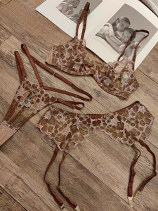 Ultima Collezione OEM per San Valentino: Lingerie Trasparente di Lusso, Intimo in Pizzo, <span class=keywords><strong>Reggiseno</strong></span> Sexy, <span class=keywords><strong>Costume</strong></span> Seducente - Product Image 2