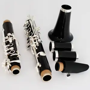 Vários profissionais OEM Bb A C G baixo Clarinete low E low C ABS baquelite ébano jacarandá instrumento de clarinete