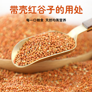 Millet rouge et jaune avec coques 1200ml Alimentation pour oiseaux pour perroquets, calopsittes, pinsons Contenant en plastique réutilisable Origine Shandong - Product Image 3