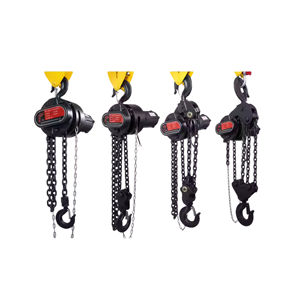 Hoge Kwaliteit Serie Elektrische Ketting Takel 10 <span class=keywords><strong>Ton</strong></span> Afstandsbediening Staal Materiaal 1 Jaar Garantie - Product Image 1