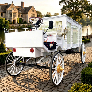 Carroza Fúnebre Americana de Lujo, de Acero y Cuero, con Columna Romana Eléctrica, Transporte Especial, Carroza Fúnebre Eléctrica - Product Image 1