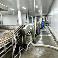 Nouvelle Conception 2026 : Ligne de Lavage Automatique Économique pour Légumes-Racines avec Convoyeur pour Usine de Transformation Alimentaire