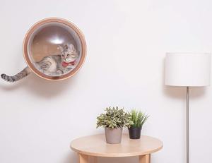 Maison pour chat en acrylique élégante et stylée 2025, écologique et conçue pour l'affichage publicitaire, au design moderne - Product Image 5
