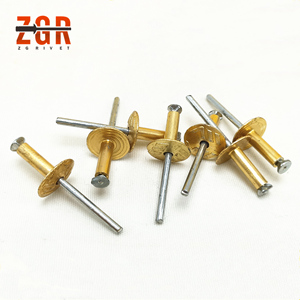 Usine Bas <span class=keywords><strong>Prix</strong></span> Échantillons Gratuits Couleur Ouvert Peel Rivet Aveugle Rivet Aveugle Structurel Fleur Forme Peau Rivets Aveugles - Product Image 4