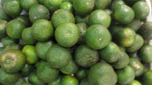 Naranjas Verdes de Vietnam al por Mayor en Grandes Cantidades - Product Image 3