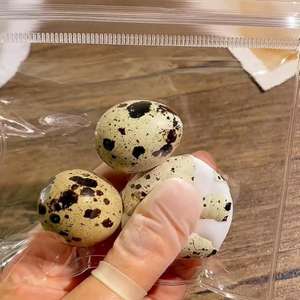 2024 neue Neuheit Spielzeug OEM matschig lebensechte Ei Spielzeug tpr Einweg echte Eierschalen Stress abbau zappeln sensorische Spielzeuge für Kinder - Product Image 3
