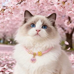 <span class=keywords><strong>Collar</strong></span> ajustable de lujo hecho a mano para mascotas, <span class=keywords><strong>collar</strong></span> de cachorro de gato de dibujos animados, anillo de gatito, bufanda de peluche, bloqueo de larga duración - Product Image 5