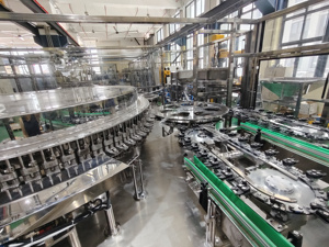 Línea de Producción Llave en Mano para Llenado de Líquidos en Botellas de Plástico con Cloruro de Sodio al 0.9%, Máquina de Soplado de Botellas de PP - Product Image 4
