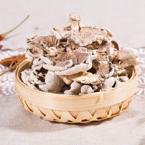 <span class=keywords><strong>Champignons</strong></span> Schizophyllum Commune Blancs Naturels Sauvages Séchés à Lames Fendues à Vendre - Product Image 3