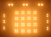 Projecteur de scène LED COB 2x200W étanche IP65 DMX512 pour mariages, concerts et événements - Projecteur de scène LED RGBWA extérieur