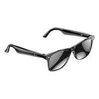 Lunettes Intelligentes IA W100 à Cadre PC, Recharge Magnétique, Appel BT, Traduction en 135 Langues, IP65, Tendance, pour l'Extérieur