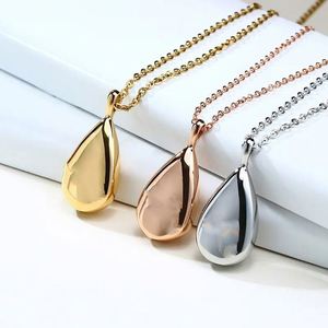 Joyería minimalista de titanio de acero inoxidable con forma de gota de agua, collar de urna, joyería de cremación para cenizas, joyería - Product Image 1