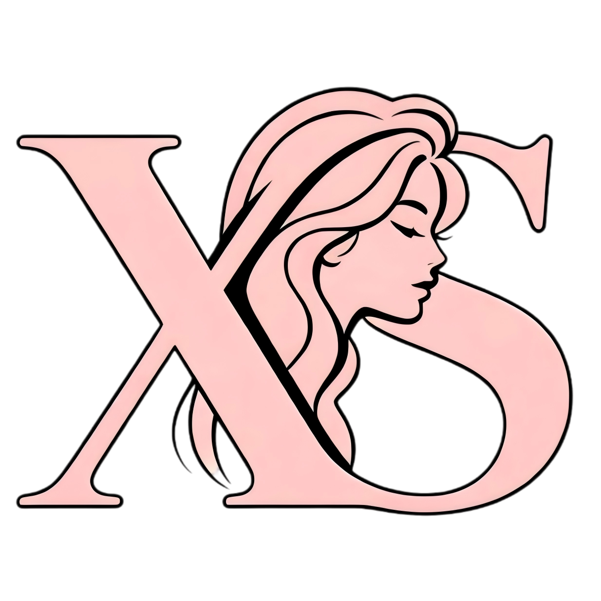 Foshan Xisen Furniture Co., Ltd. logo