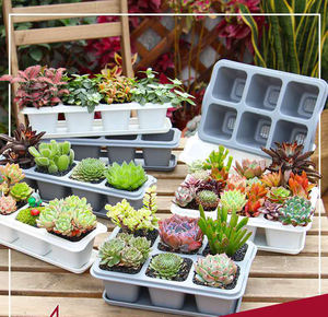 DD1684 Tiny 4 6 Cellule Plante Succulentes Soucoupes Mini Cultiver Des Semis Pot De Fleurs En <span class=keywords><strong>Plastique</strong></span> Plateaux De Fleurs pour Plantes D'intérieur - Product Image 2