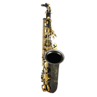 Superior Quality Woodwind Instrument EB Tone Alto Saxophone with Brass Body Performance Use