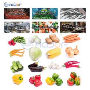 Haute efficacité circulation d'<span class=keywords><strong>eau</strong></span> châtaigne portulaca ormosia laveuse convoyeur tremella fruits légumes propre machine à laver - Product Image 3