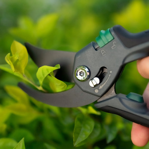 Green Guard Bypass <b>Pruner</b> Stainless Steel 20-30 Mm Trimming Diameter Butterfly Structure Garden Shears For Fruit <b>Tree</b> Pruning - Product Image 1
