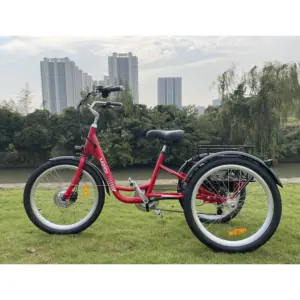 350w electric triycle with Lithium Battery Electric Tricycle in stock E Trike for lady 3 wheel electric bike for older