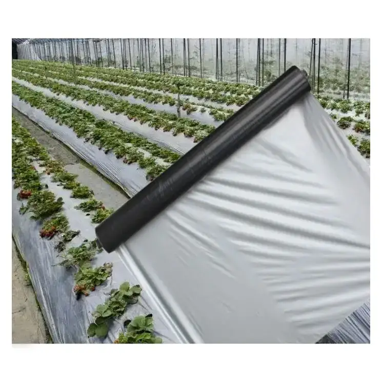 Best Selling Plastic Mulch Film Agriculture Price Agricultural Black Plastic Mulch Film