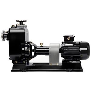 Bomba Centrífuga Autocebante de Acero Inoxidable Zw de 40 Calibres para Aguas Residuales, Uso de Líquidos Sin Obstrucciones - Product Image 2