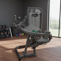 Machine d'entraînement musculaire de haute qualité pour salle de sport commerciale, machine d'entraînement de force linéaire, machine double pour biceps et triceps