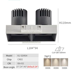 Kepala Ganda Tiga Kepala Tersembunyi Cob Langit-langit Pencahayaan Led Downlights Aluminium 90 Modern Persegi Panjang Remote Control CE Rohs 95