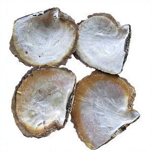 Plato de Concha de Nácar Natural de Lujo, Hecho a Mano, Moderno, Ecológico, para Servir, Decoración de Mesa para el Hogar y Negocios - Product Image 1