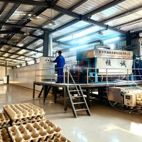 Machine de fabrication de barquettes à œufs 6x8, moule 7000 pièces/heure, ligne de production de moulage de pâte robuste avec four de séchage métallique