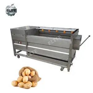 Full automatic stainless steel carrot brush roller washing line