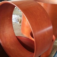 Laque Peinture en bois Tambour Shell