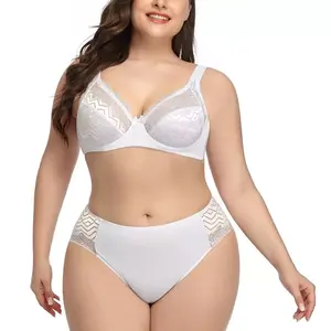 2022 grande taille femmes soutien-gorge culotte ensemble respirant Transparent dentelle broderie dos fermer fil soutien-gorge ensemble