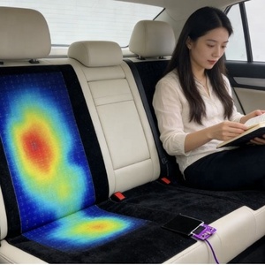 Sensore Elettrodo Flessibile in PET Personalizzato con Stampa Serigrafica per Rilevamento Corporeo, Tappetino Smart per Letto per Uso Domestico - Product Image 6