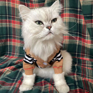 Kunden spezifische Großhandel Luxus Teddy Marke Mode niedlichen Strick Cardigan Haustier Kleidung Hund Pullover für kleinen Hund - Product Image 2