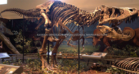 Répliques de squelettes de dinosaures en fibre de verre grandeur nature, fabriquées à la main, pour musée