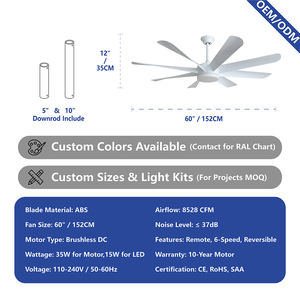 OEM 现代静音强力 BLDC 可逆电机高风量 60 英寸 8 叶片吊扇带灯和遥控器 - Product Image 3