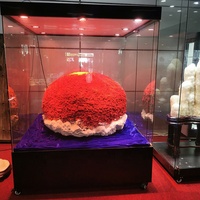 Vitrine d'exposition en verre minéral durable en gros, présentoir métallique avec éclairage pour musée, exposition, salle d'exposition