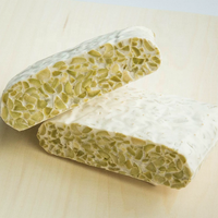 Tempeh de pois chiches pour des repas surgelés sains, protéines végétales sans gluten, idéal pour la friteuse à air et les salades