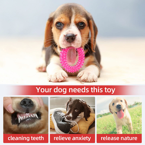 Juguete Mordedor para Perros de Goma TPR Ecológica y Duradera, en Forma de Hueso Clásico, para Uso Diario en Animales Pequeños - Product Image 2
