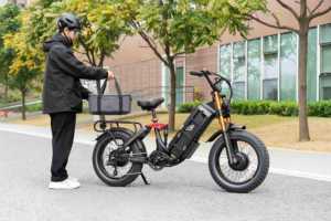 E-bike Eahora Juliet Pro 2 250W 52V con Motore Centrale per Adulti, Pneumatici Fat per una Guida Fluida, Batteria al Litio per Prestazioni a Lunga Autonomia - Product Image 6