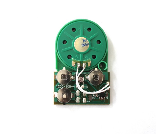 Factory OEM Various Kinds of Sound Module Light Sensor Activated Voice Recorder for DIY Gift Box and Musical Greeting Card