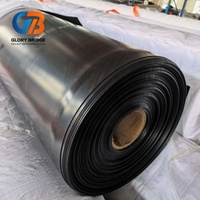 Fabricantes de Revestimientos de Geomembrana HDPE, Protección Contra Infiltraciones, Geomembrana HDPE Estándar GM13 para Revestimiento de Estanques Industriales