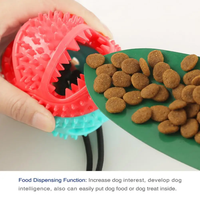 Jouet à mâcher moderne et écologique pour chiot en TPR, balle sonore avec corde pour soulager les poussées dentaires, nettoyer les dents et comme jouet de dressage pour chien
