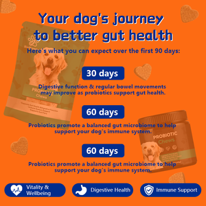 Biobiopaw Probiotische Kauwtabletten voor Honden, 6-Stammen Lactobacillus, Ondersteuning Darmgezondheid, Op basis van Advies van Dierenartsen, Gezondheidszorgsupplementen - Product Image 5